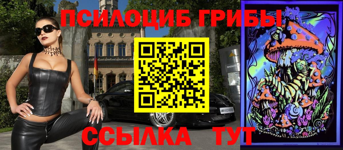 Галлюциногенные грибы GOLDEN TEACHER  Вход с VPN  Галлюциногенные грибы MAGIC MUSHROOMS  Артём 